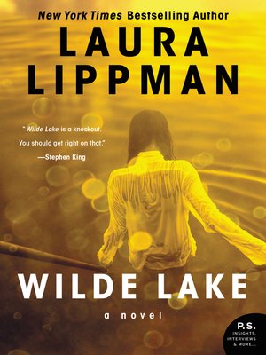 cover image of Wilde Lake